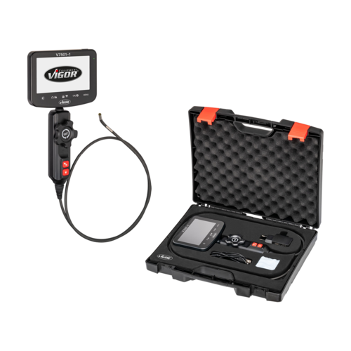 Video-Endoskop mit Sonde